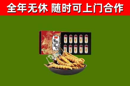 万柏林回收冬虫夏草价格