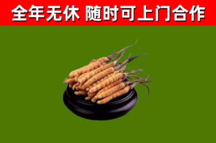 万柏林烟酒回收冬虫夏草.jpg